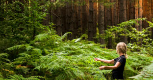 Shinrin-yoku. Embracing The Wild: How A Forest Escape Can Reset Your Mind