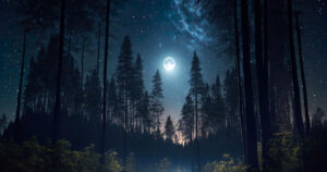 A moonlit night in the forest. Embracing The Wild: How A Forest Escape Can Reset Your Mind