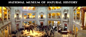 National Museum of Natural History, Washington DC, USA