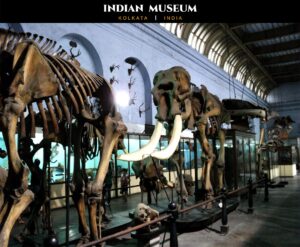 Indian Museum, Kolkata, India